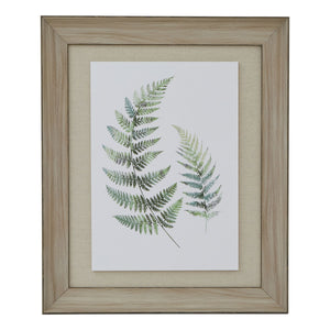 Framed watercolour fern wall art featuring delicate green ferns on a white background