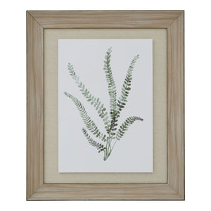 Framed watercolour fern wall art featuring delicate green ferns on a light background
