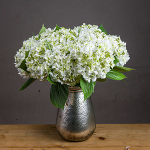 Beautiful white lace cap hydrangea bouquet in a stylish silver vase on a wooden table